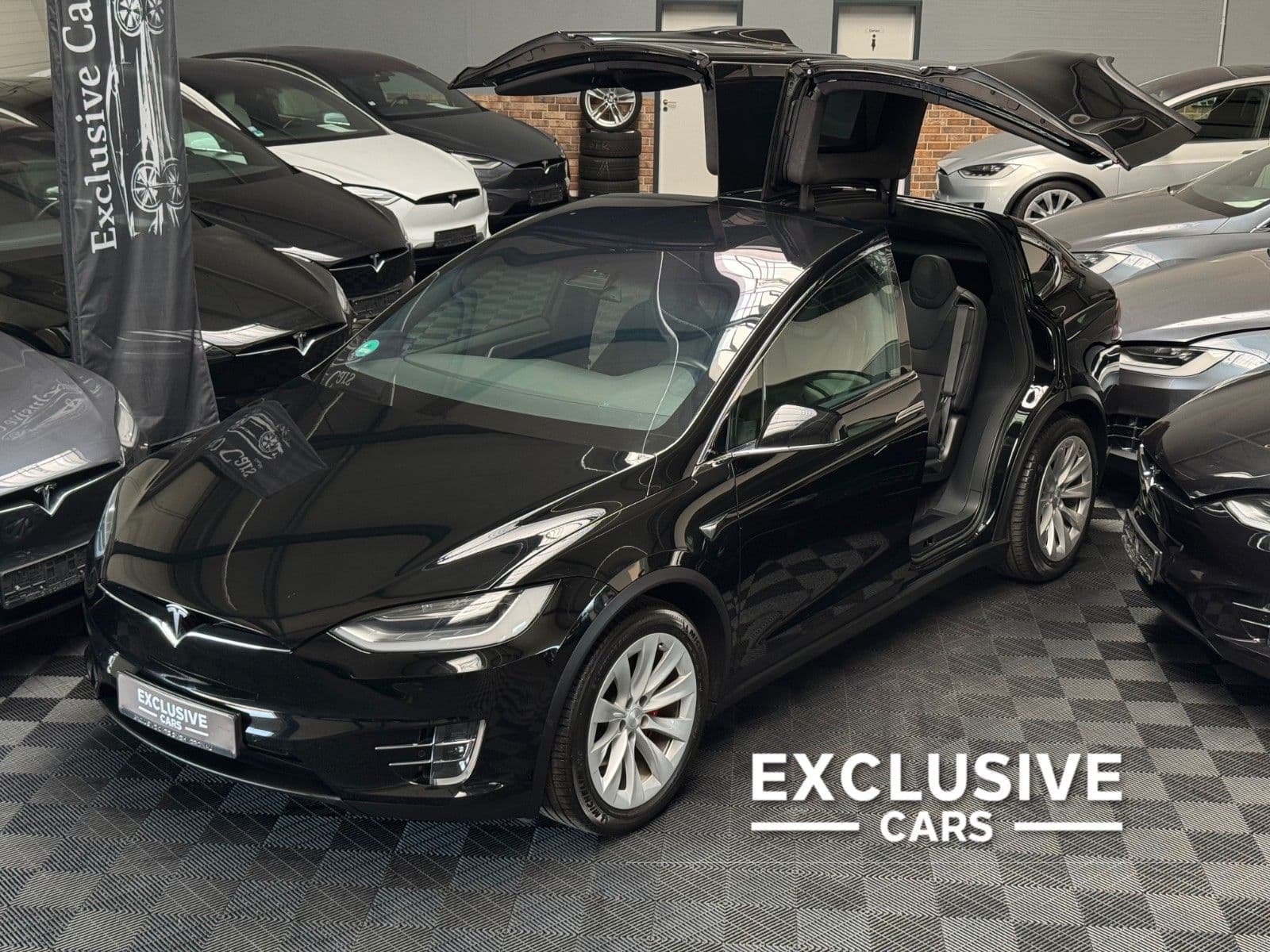 TESLA Model X - Bild 1