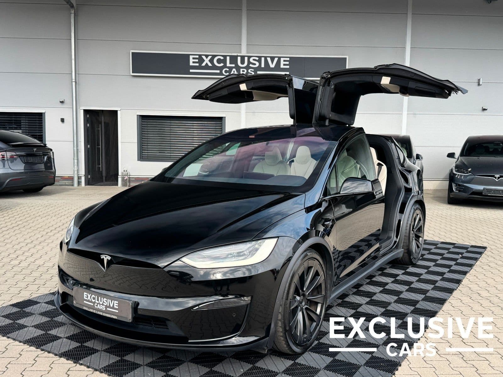 TESLA Model X - Bild 1