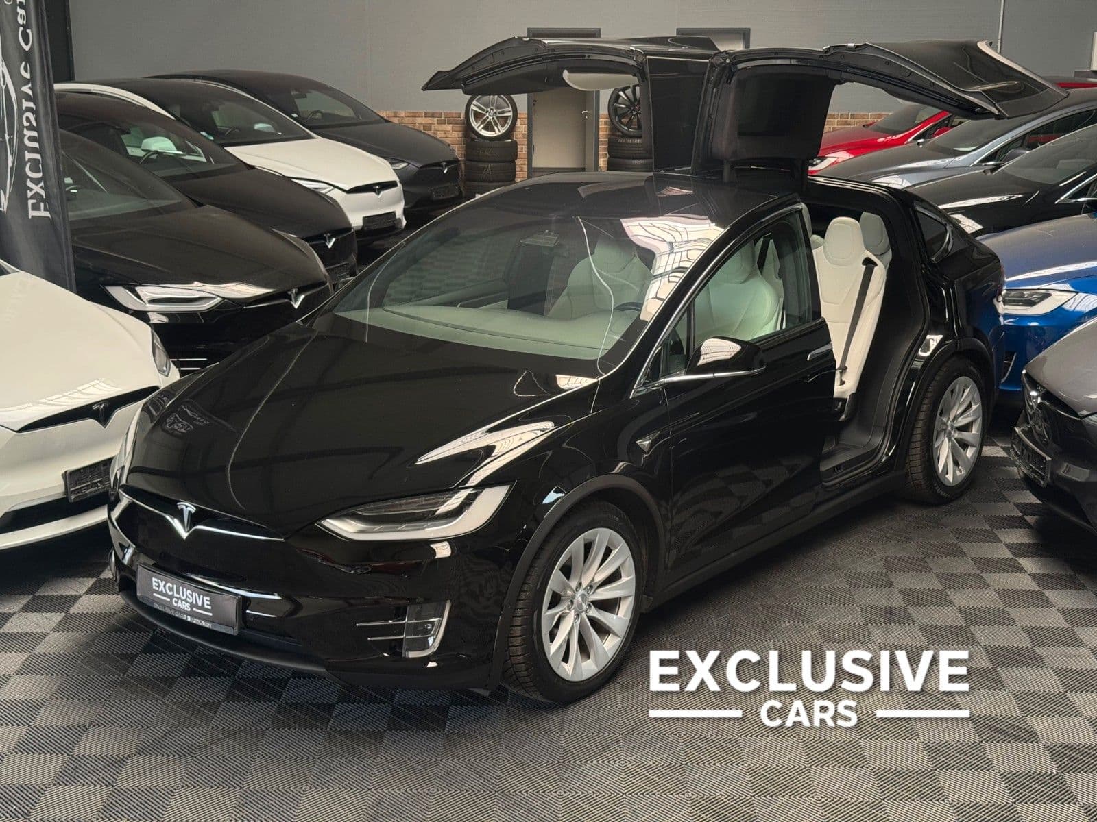 TESLA Model X - Bild 1